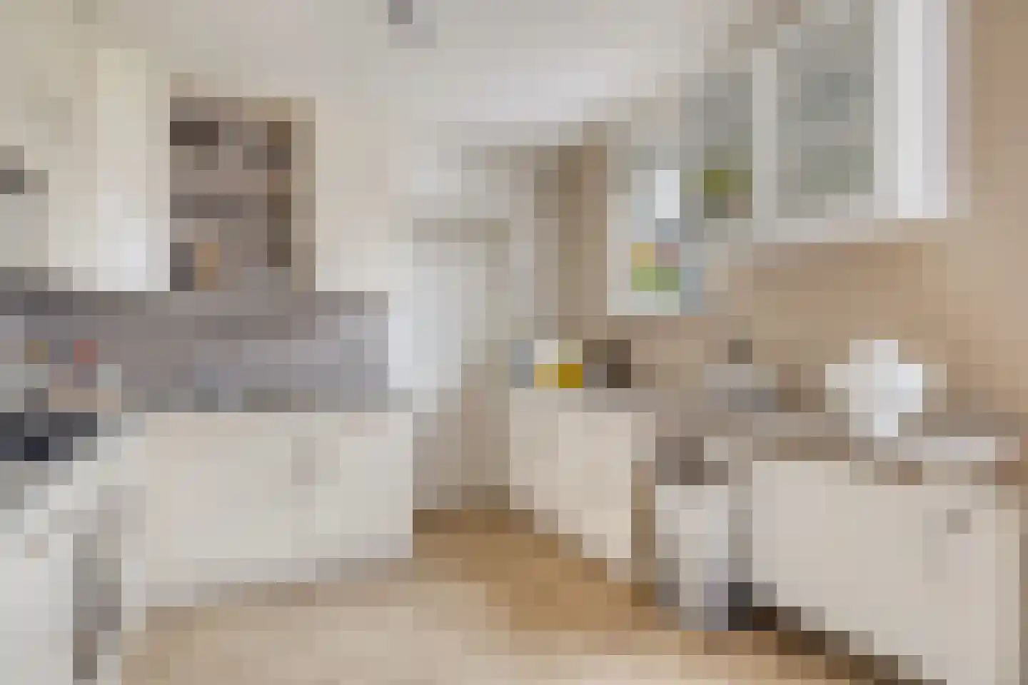 Chirurgijnslaan 22 Oudenbosch thumbnail 17