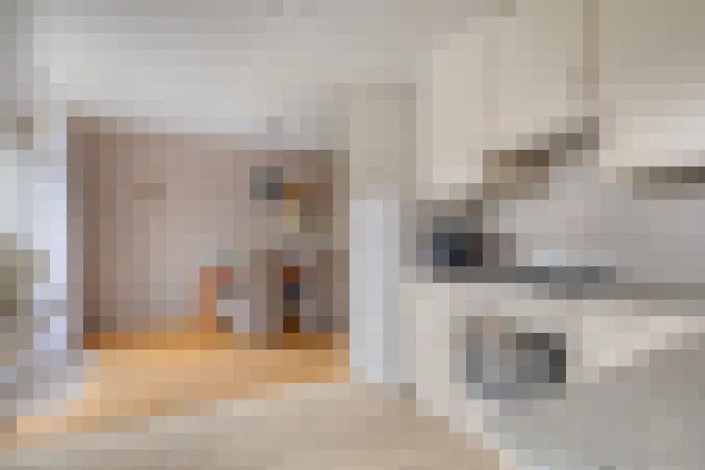 Chirurgijnslaan 22 Oudenbosch thumbnail 18