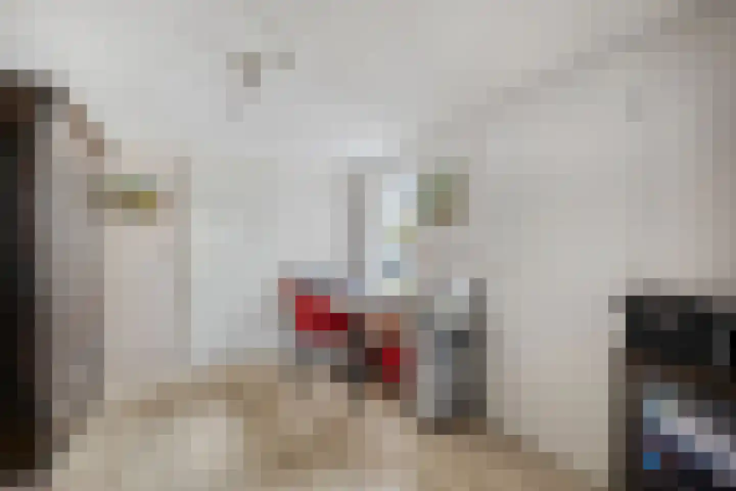 Chirurgijnslaan 22 Oudenbosch thumbnail 19