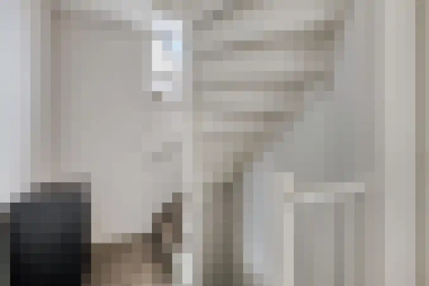 Chirurgijnslaan 22 Oudenbosch thumbnail 22