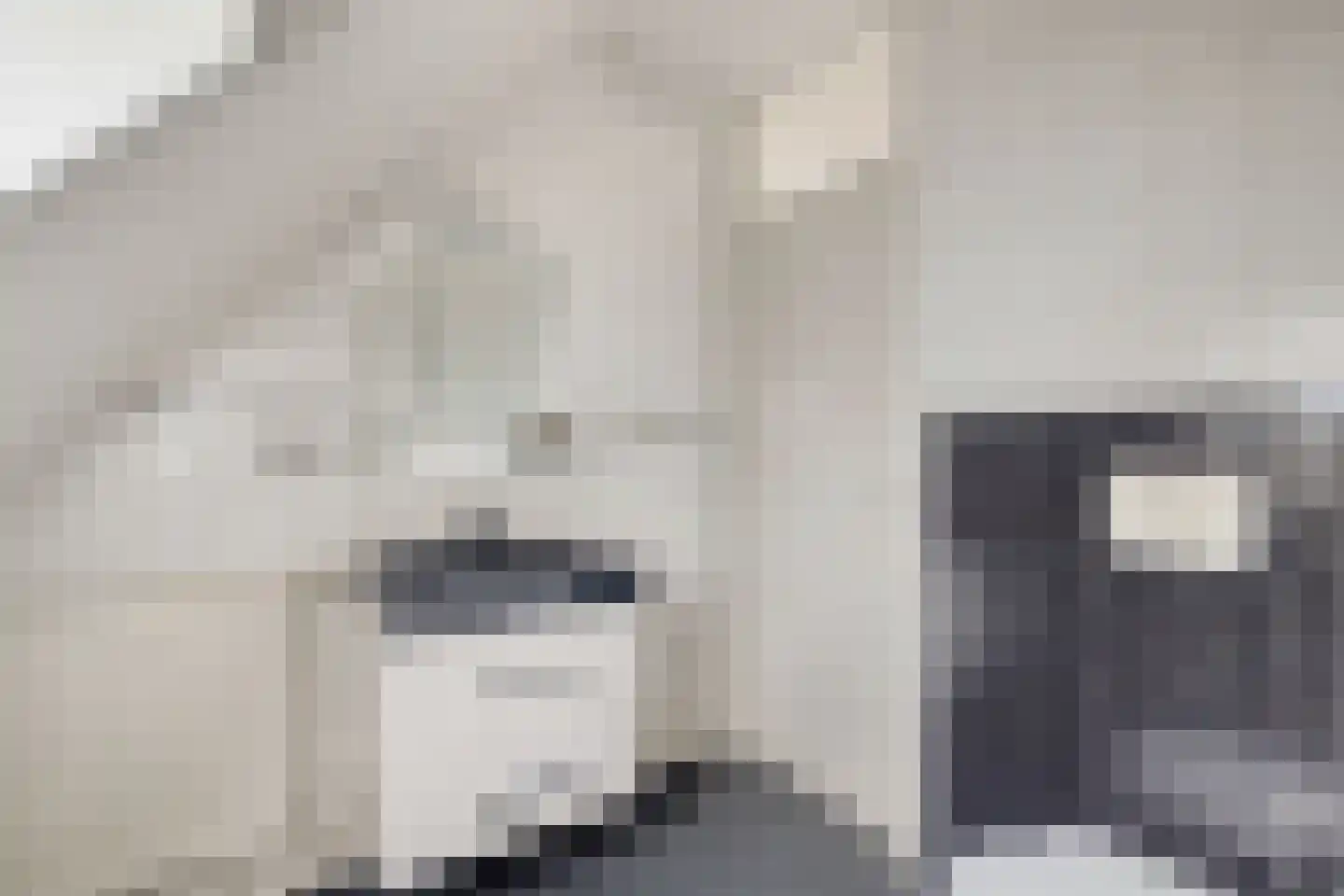 Chirurgijnslaan 22 Oudenbosch thumbnail 30