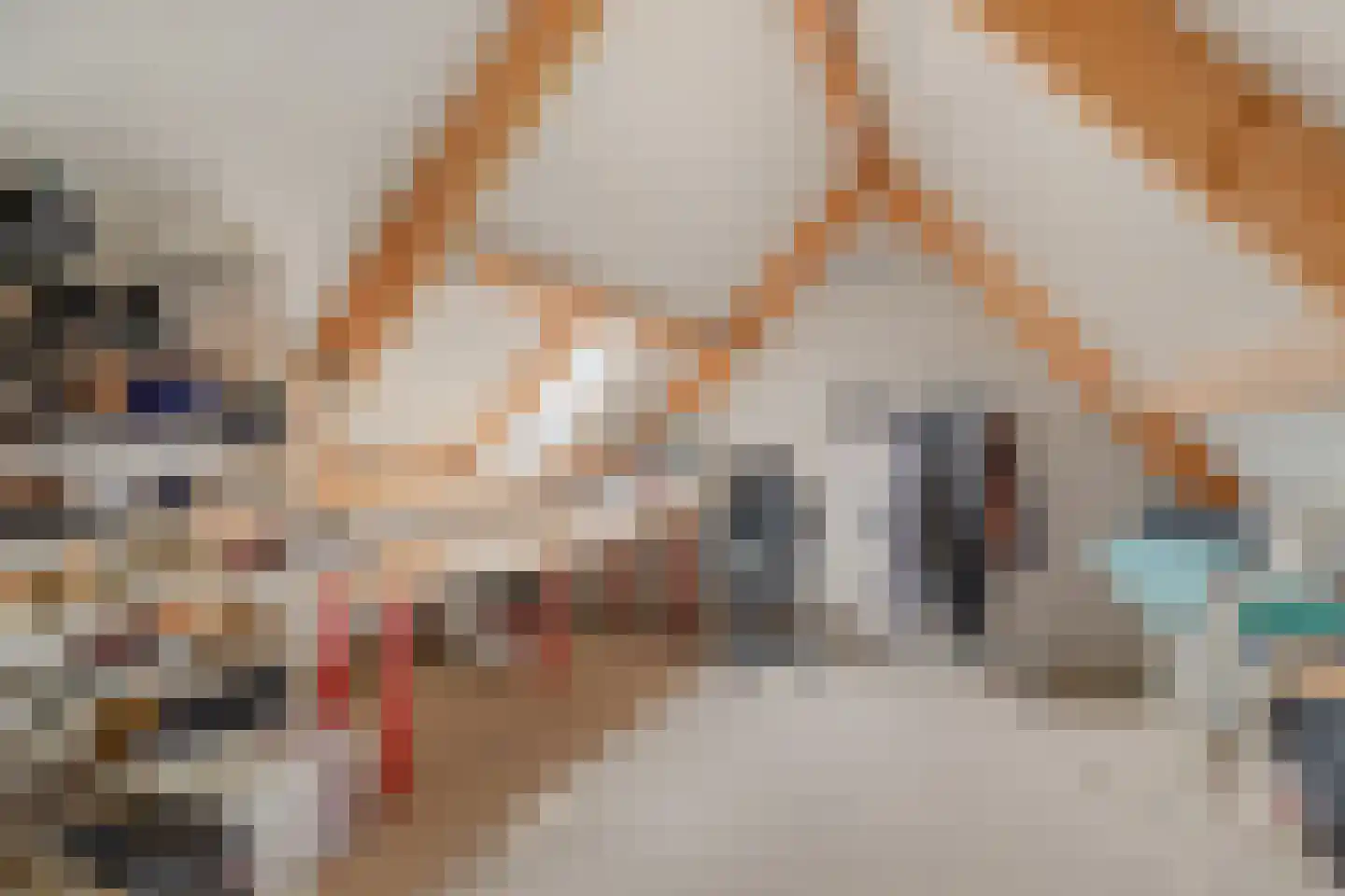 Chirurgijnslaan 22 Oudenbosch thumbnail 31