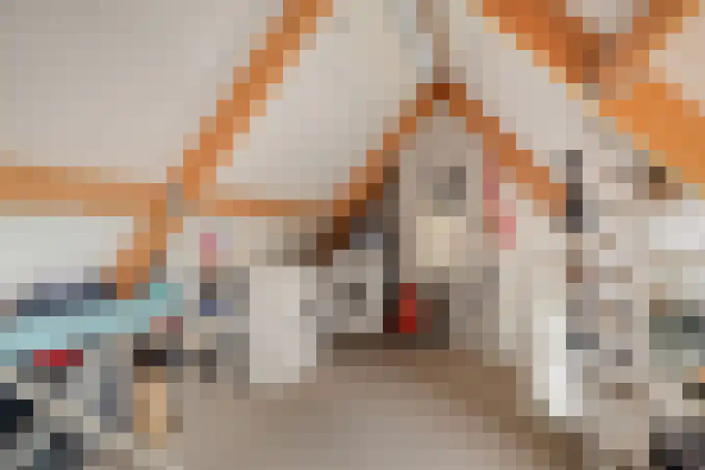 Chirurgijnslaan 22 Oudenbosch thumbnail 32