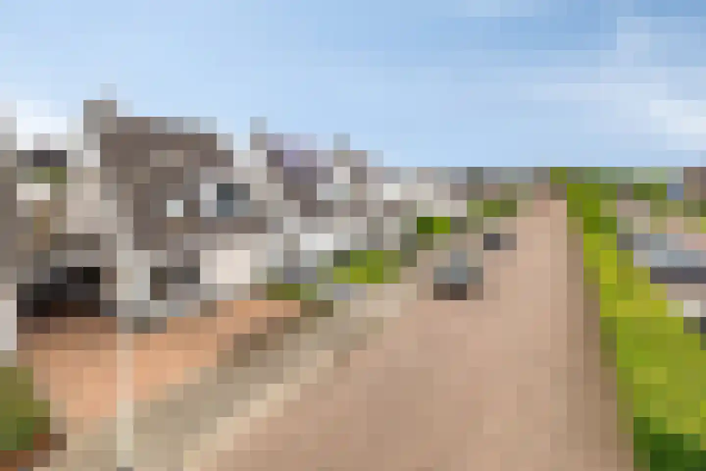 Chirurgijnslaan 22 Oudenbosch thumbnail 40
