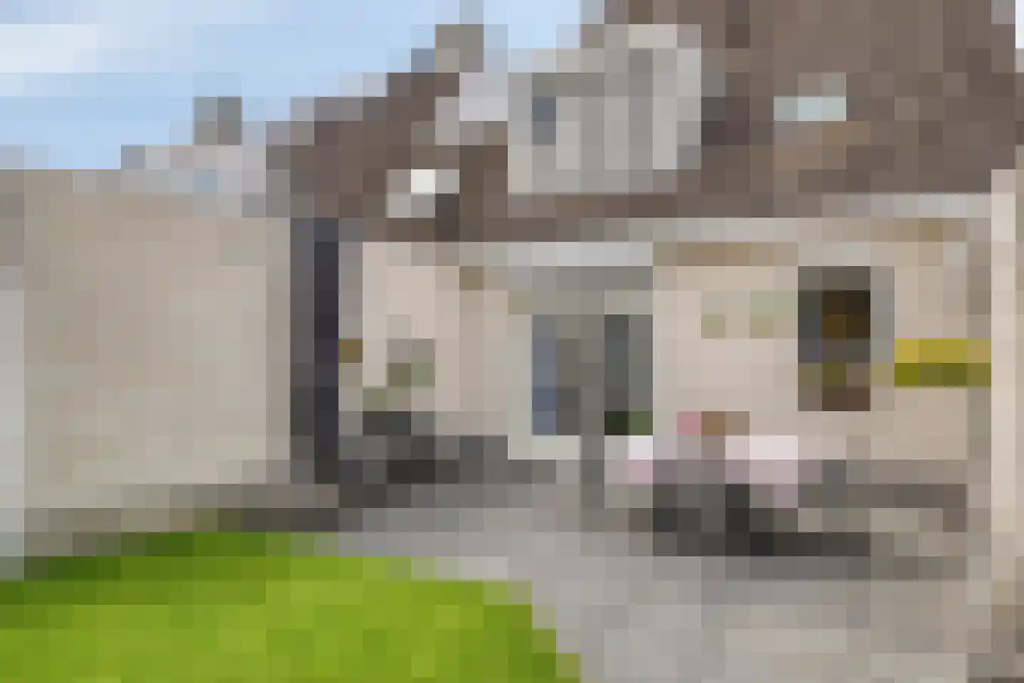 Chirurgijnslaan 22 Oudenbosch thumbnail 42