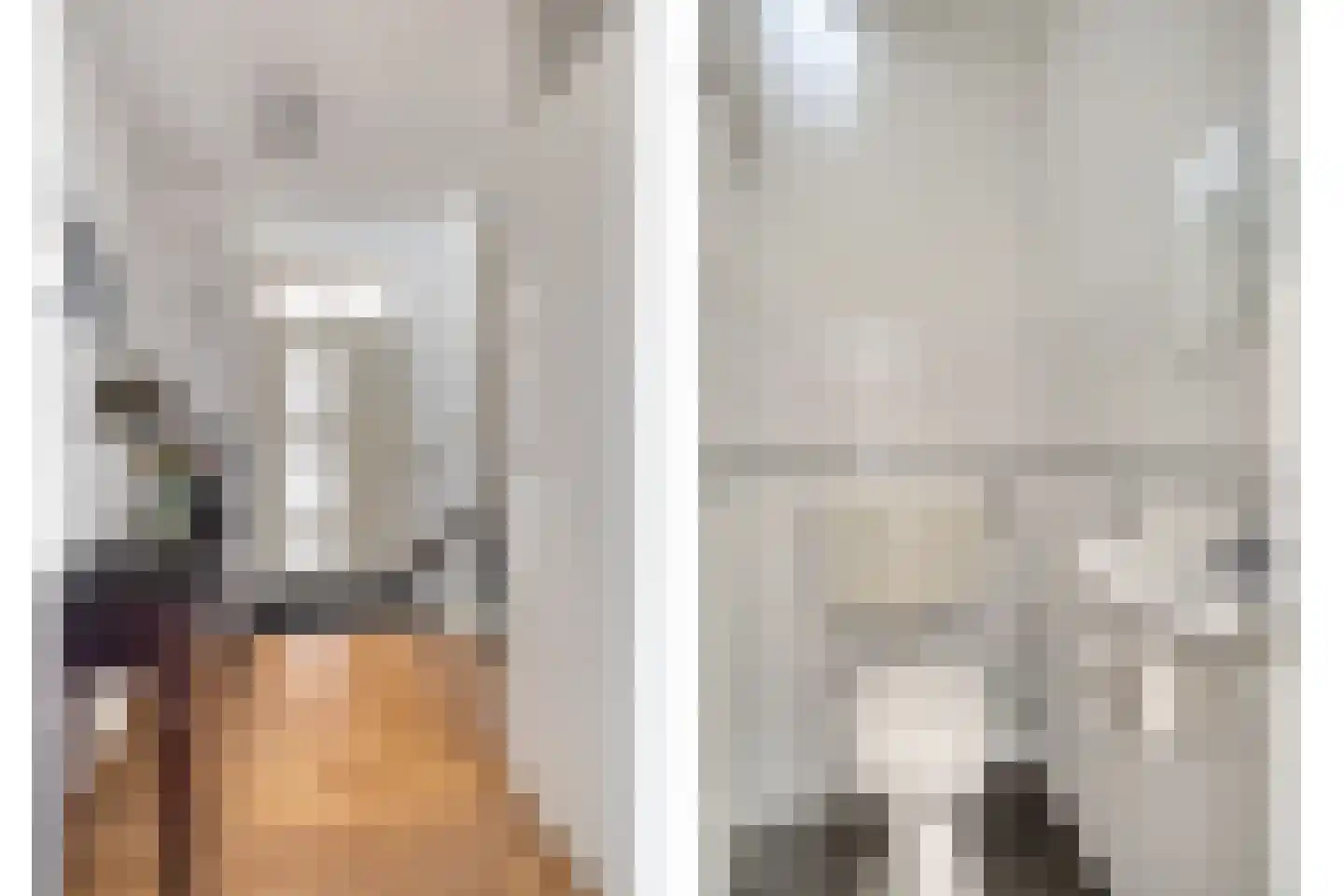 Chirurgijnslaan 22 Oudenbosch thumbnail 5