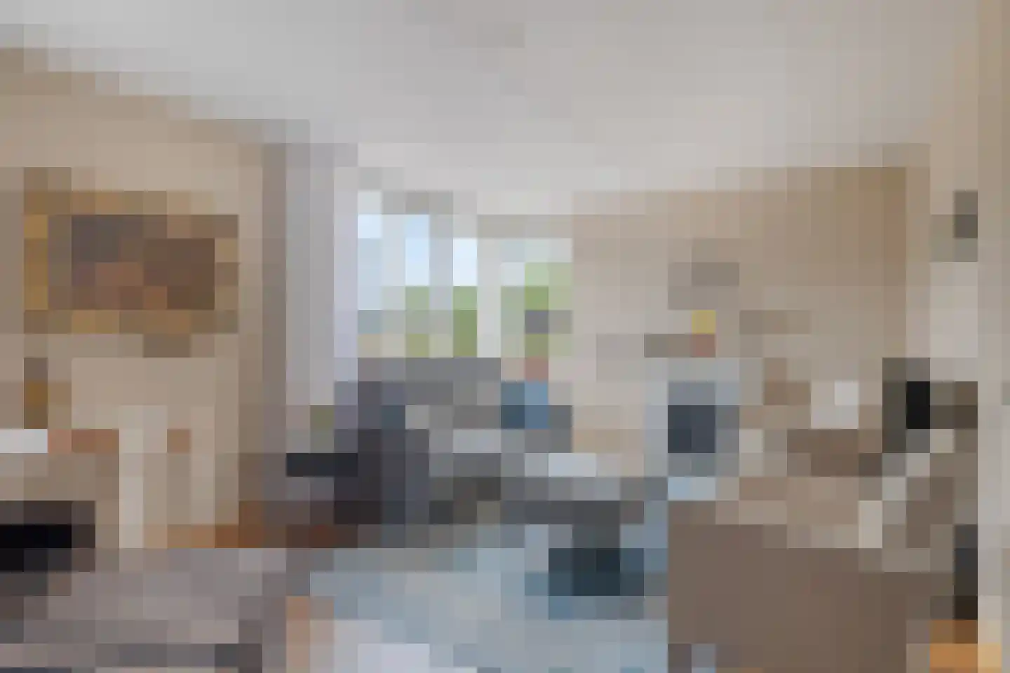 Chirurgijnslaan 22 Oudenbosch thumbnail 6