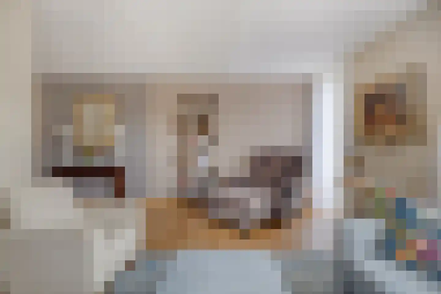 Chirurgijnslaan 22 Oudenbosch thumbnail 7
