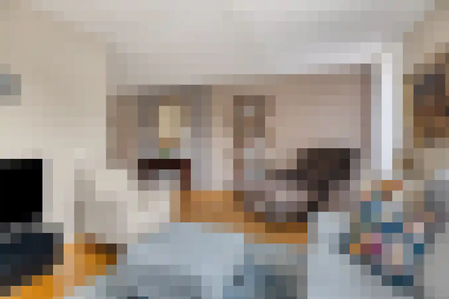 Chirurgijnslaan 22 Oudenbosch thumbnail 8