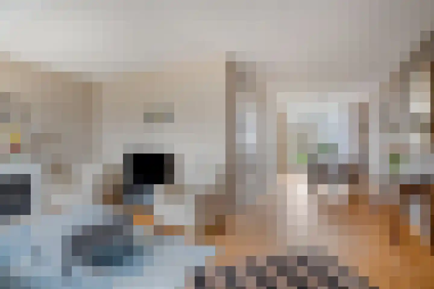 Chirurgijnslaan 22 Oudenbosch thumbnail 9