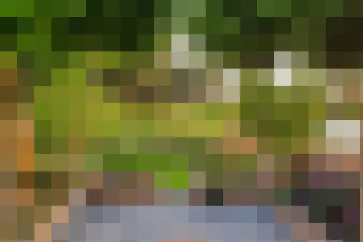 Chirurgijnsweg 28 Weesp thumbnail 49