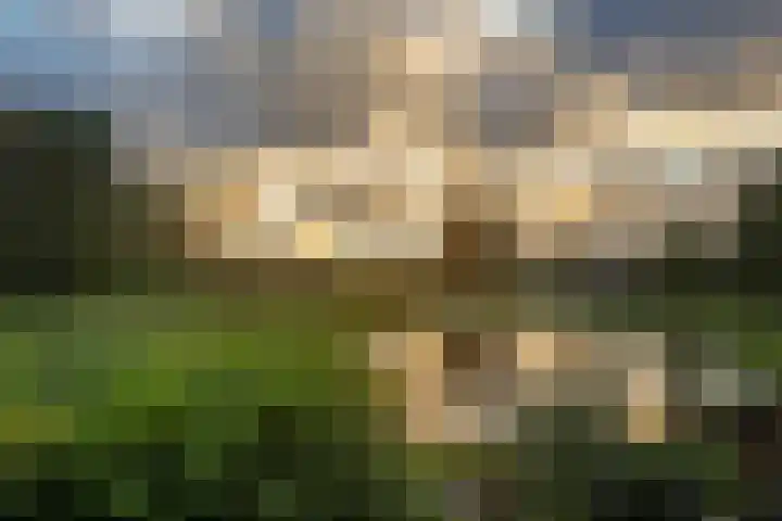 Chirurgijnsweg 28 Weesp thumbnail 51