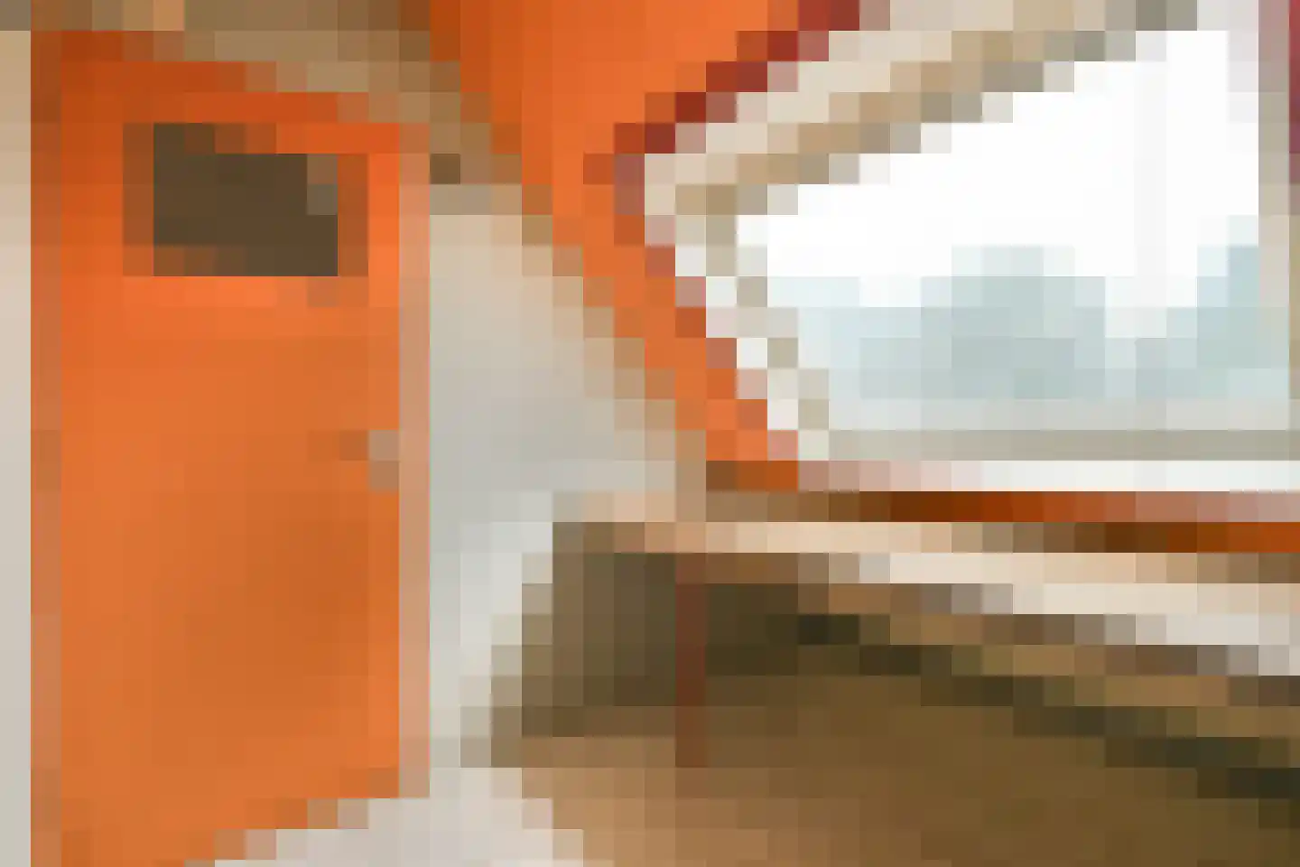 Chirurgijnsweg 34 Weesp thumbnail 26