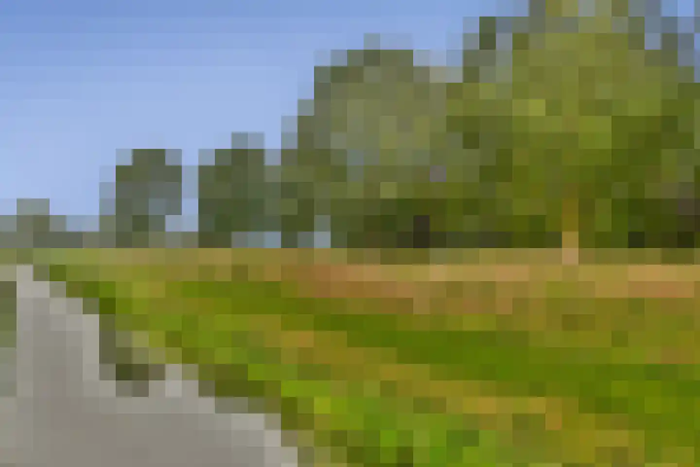Chirurgijnsweg 34 Weesp thumbnail 29