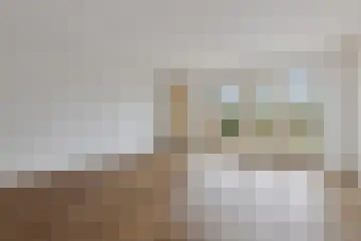 Chirurgijnsweg 40 Weesp thumbnail 14