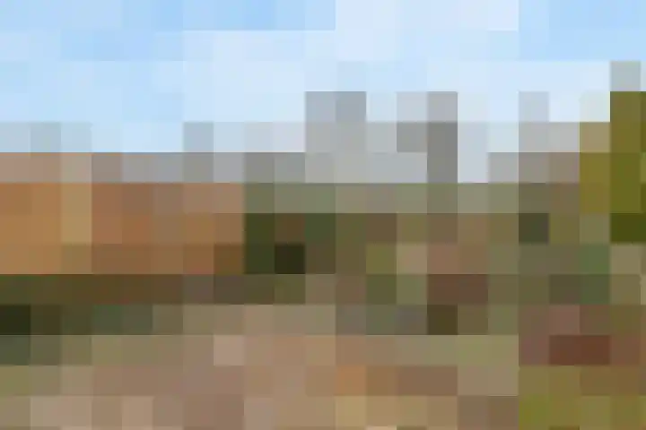 Chirurgijnsweg 40 Weesp thumbnail 17