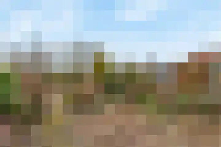 Chirurgijnsweg 40 Weesp thumbnail 18