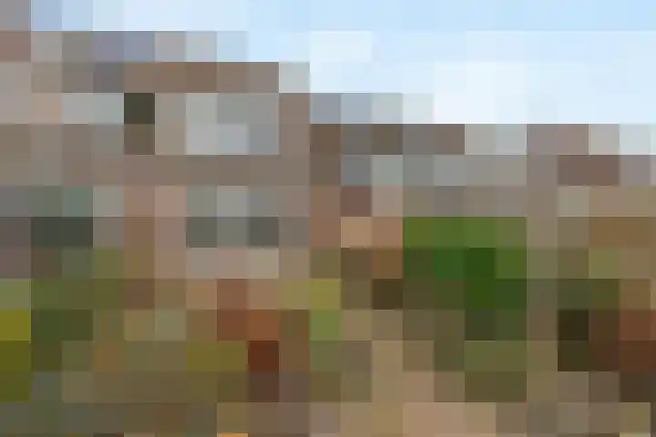 Chirurgijnsweg 40 Weesp thumbnail 19