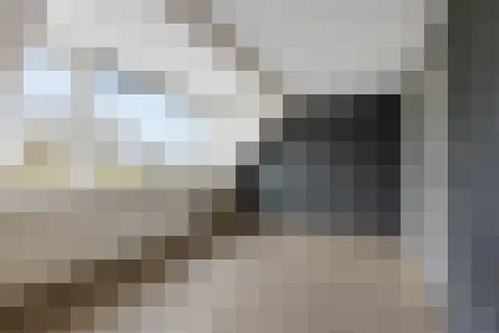 Chirurgijnsweg 40 Weesp thumbnail 24