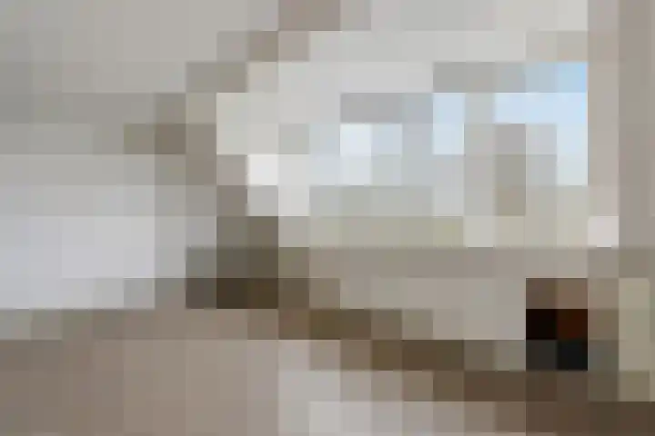 Chirurgijnsweg 40 Weesp thumbnail 26