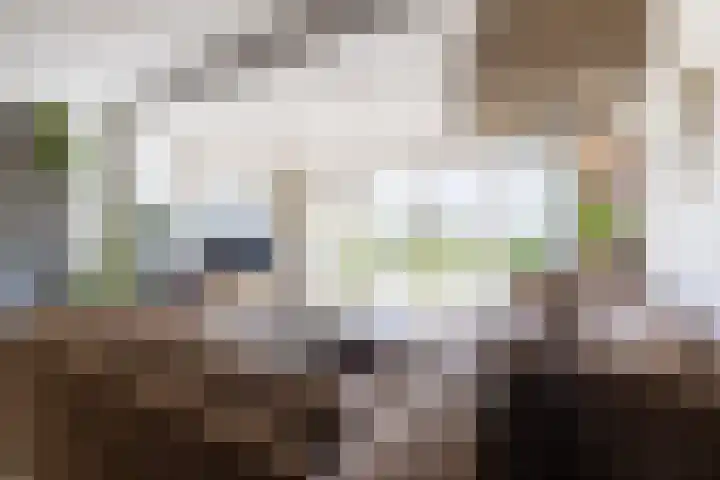 Chirurgijnsweg 72 Weesp thumbnail 10