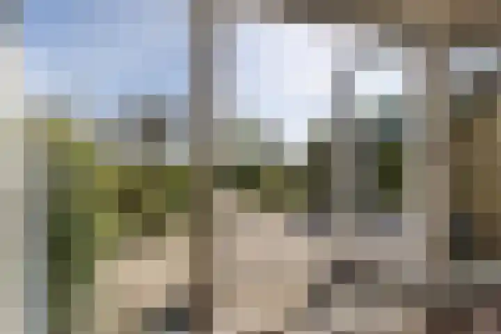 Chirurgijnsweg 72 Weesp thumbnail 11