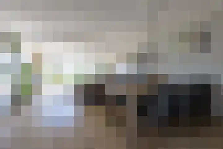 Chirurgijnsweg 72 Weesp thumbnail 13