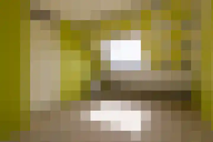 Chirurgijnsweg 72 Weesp thumbnail 31