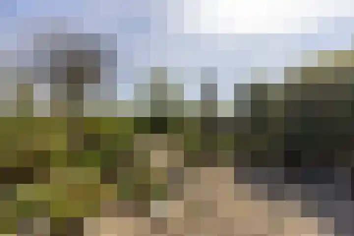 Chirurgijnsweg 72 Weesp thumbnail 36