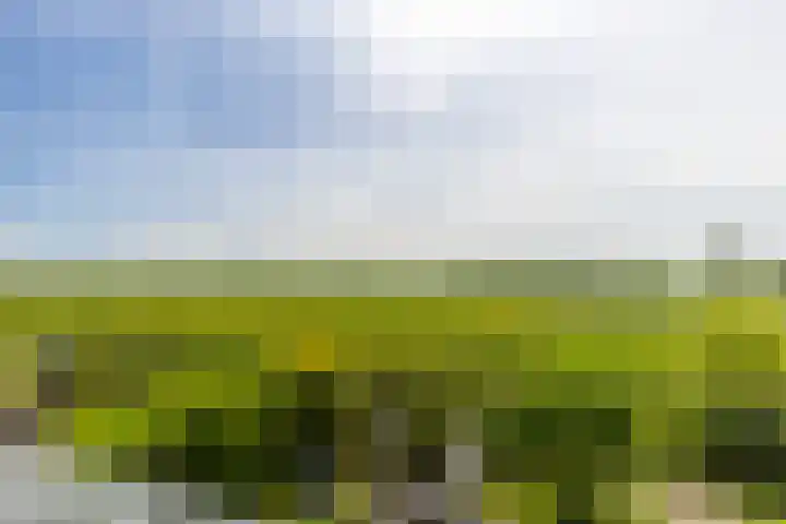 Chirurgijnsweg 72 Weesp thumbnail 37