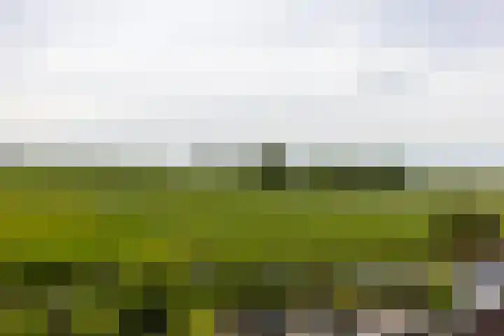Chirurgijnsweg 72 Weesp thumbnail 38