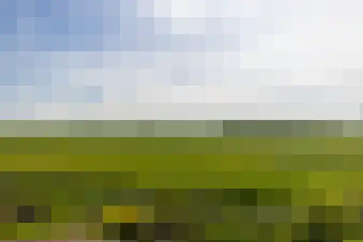 Chirurgijnsweg 72 Weesp thumbnail 39