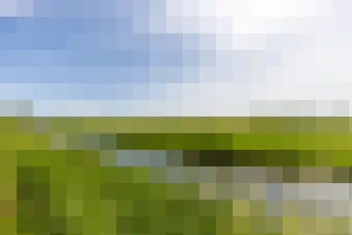 Chirurgijnsweg 72 Weesp thumbnail 40
