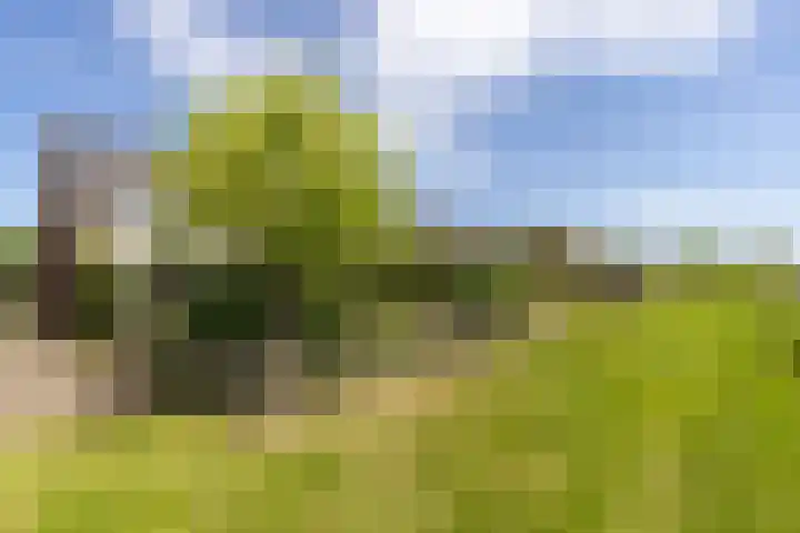Chirurgijnsweg 72 Weesp thumbnail 41