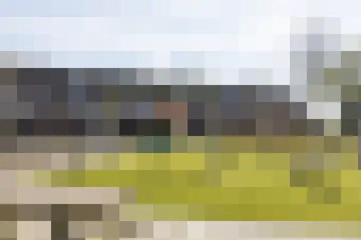 Chirurgijnsweg 72 Weesp thumbnail 43