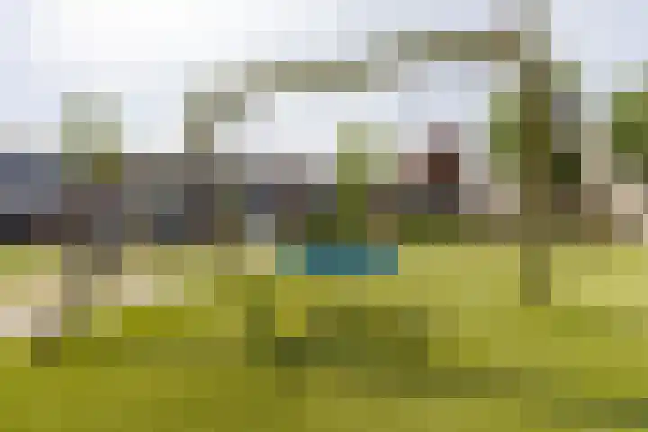 Chirurgijnsweg 72 Weesp thumbnail 44