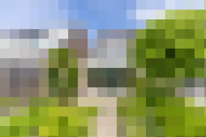 Chirurgijnsweg 72 Weesp thumbnail 47