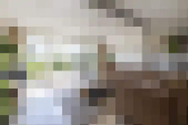 Chirurgijnsweg 72 Weesp thumbnail 9