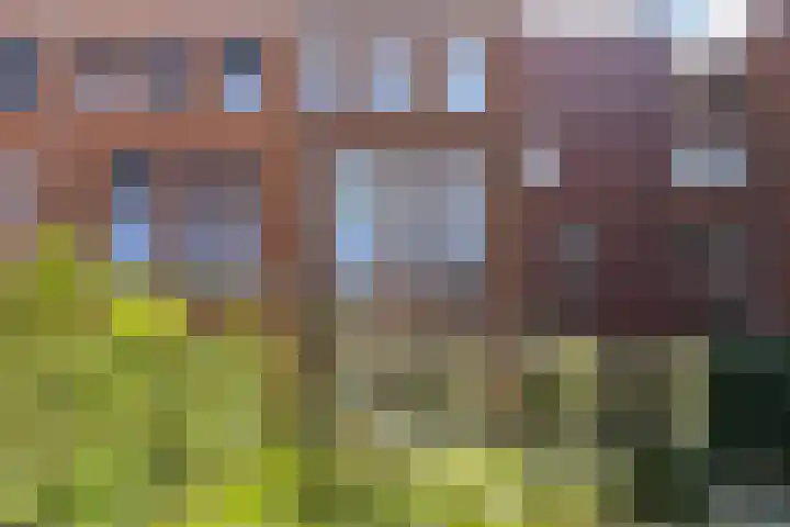 Chisinaustraat 12 Utrecht thumbnail 46