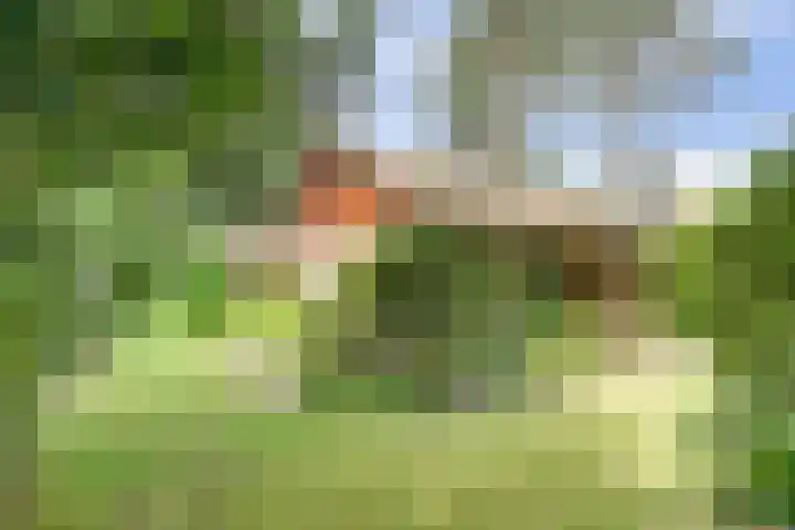 Chloralaan 11 Oostvoorne