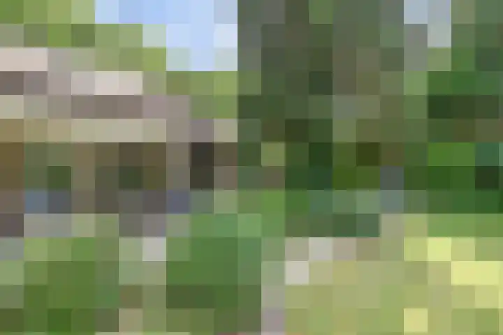 Chloralaan 11 Oostvoorne thumbnail 35