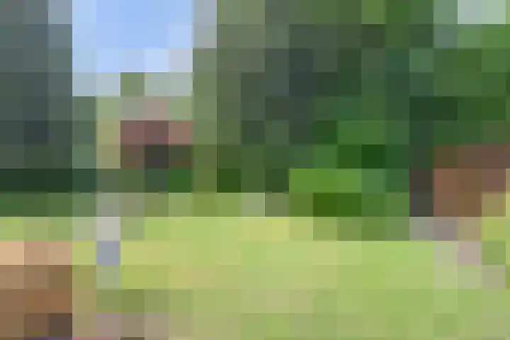 Chloralaan 11 Oostvoorne thumbnail 36