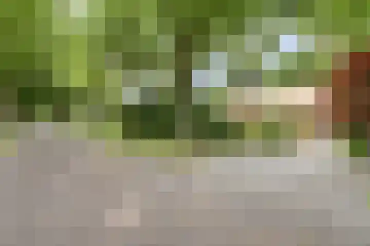 Chloralaan 11 Oostvoorne thumbnail 4