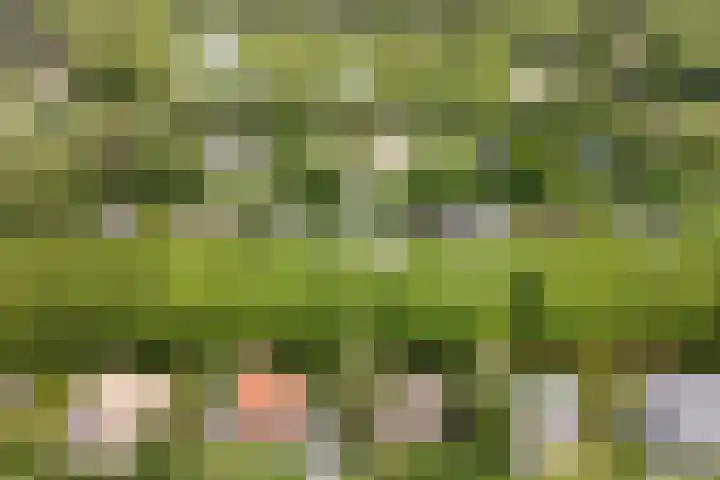 Chloralaan 11 Oostvoorne thumbnail 40