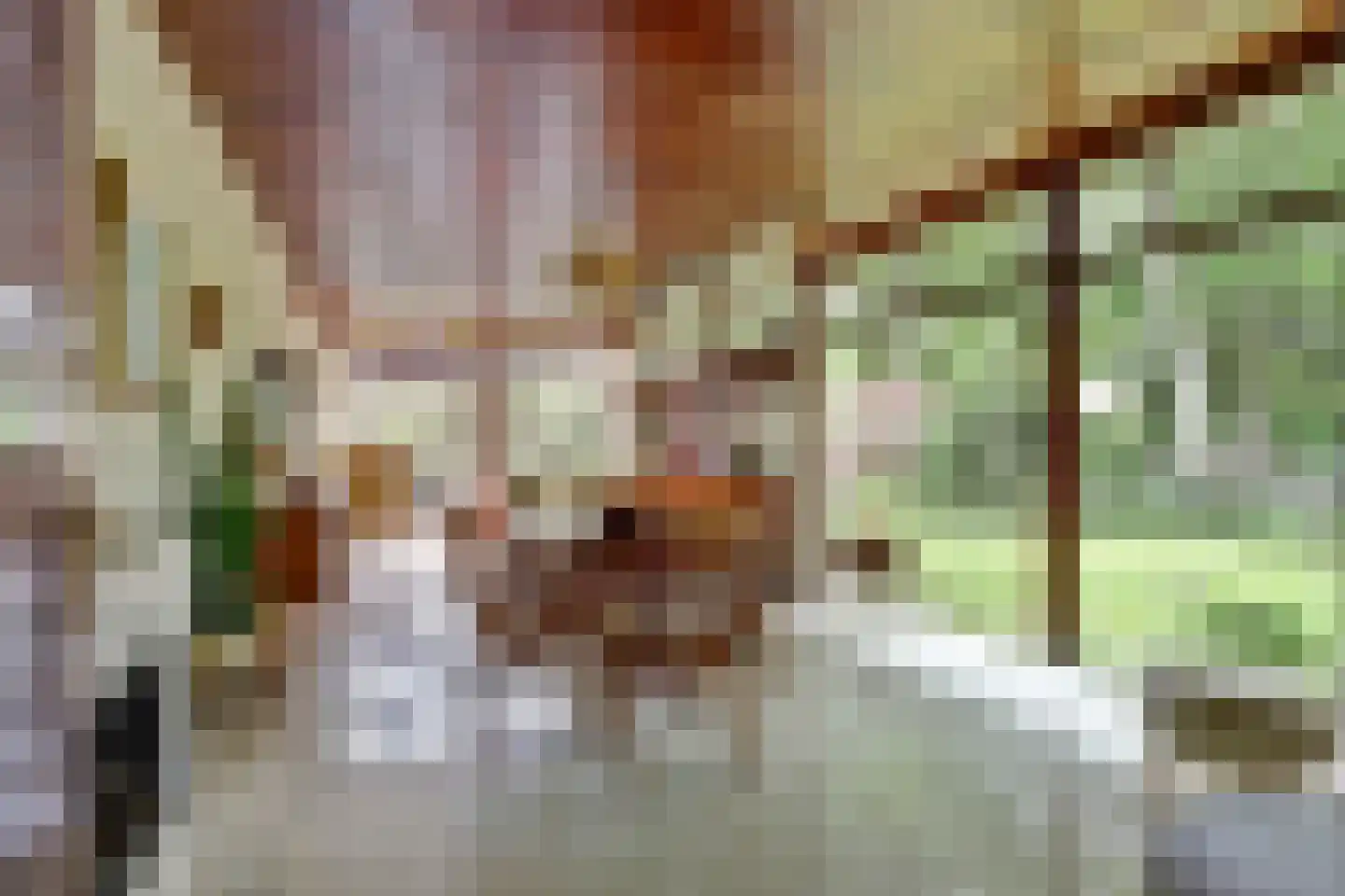 Chloralaan 14 Oostvoorne thumbnail 10