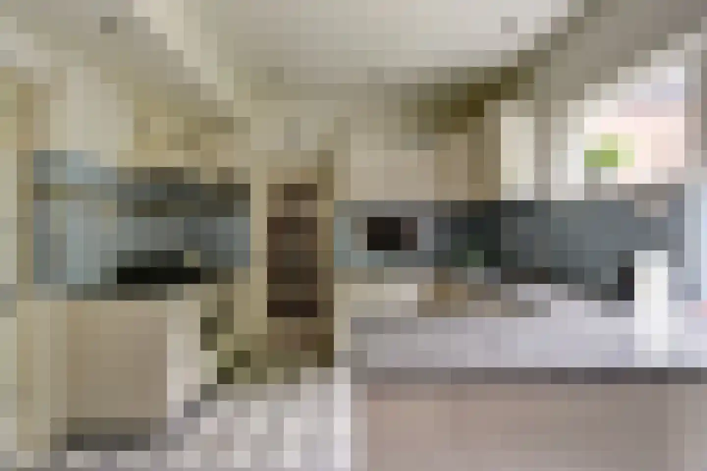 Chloralaan 14 Oostvoorne thumbnail 13
