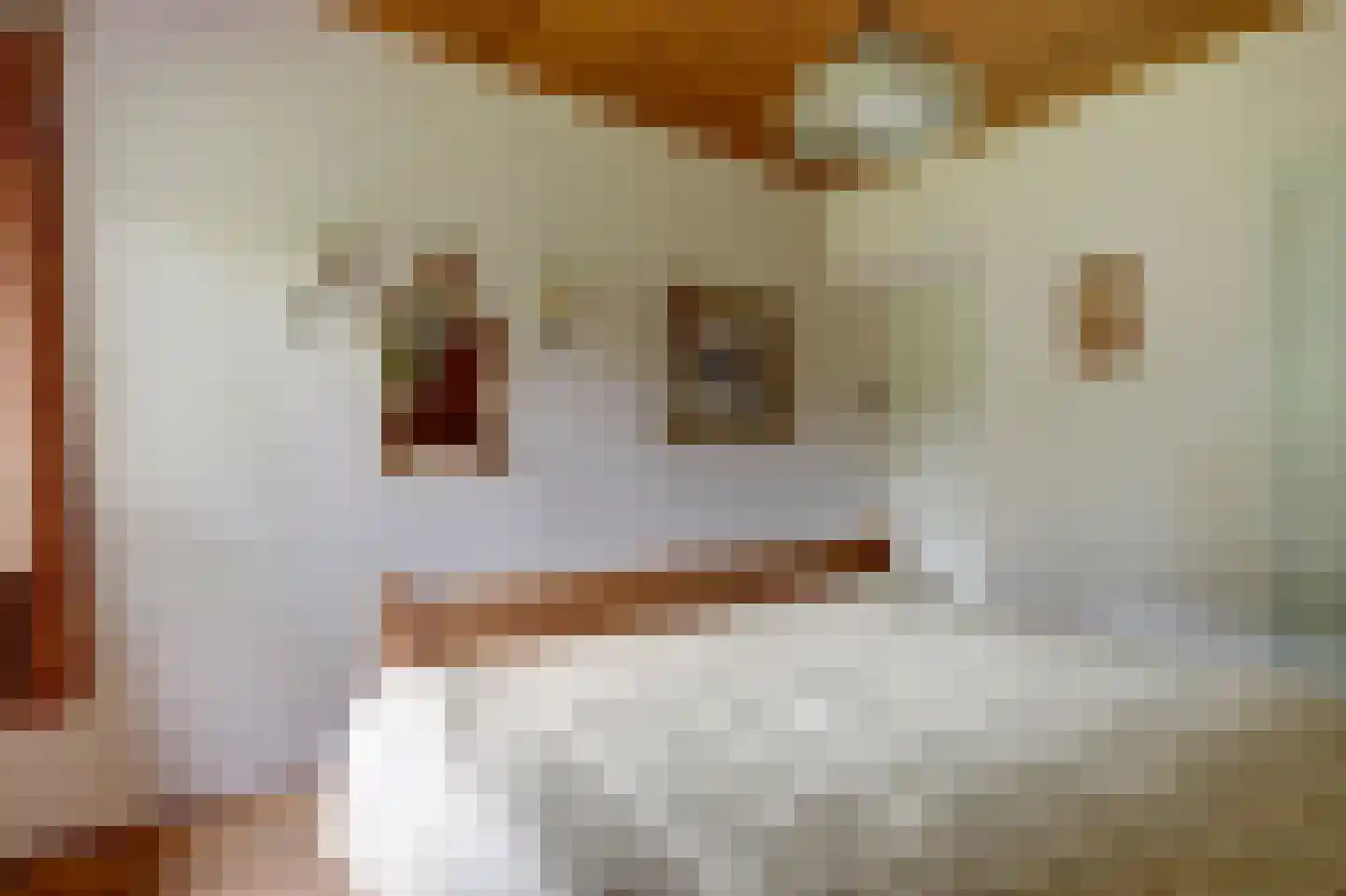 Chloralaan 14 Oostvoorne thumbnail 22