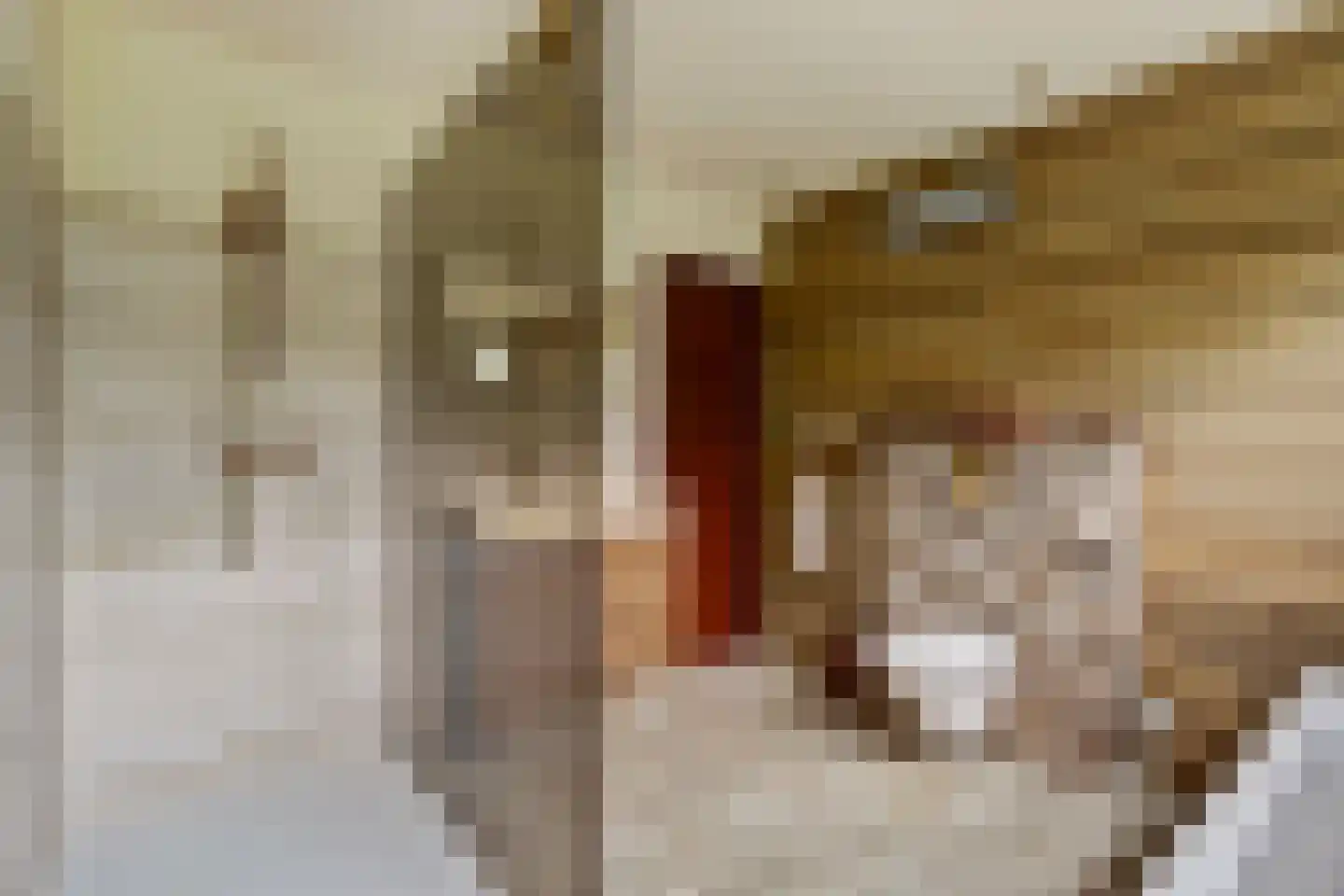 Chloralaan 14 Oostvoorne thumbnail 24
