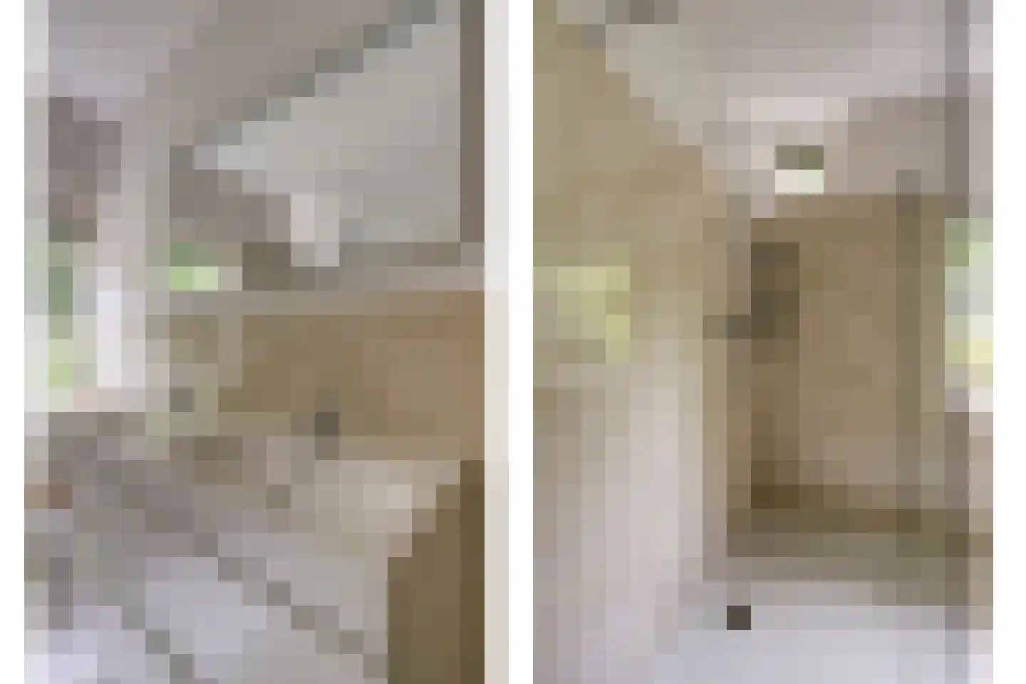 Chloralaan 14 Oostvoorne thumbnail 29