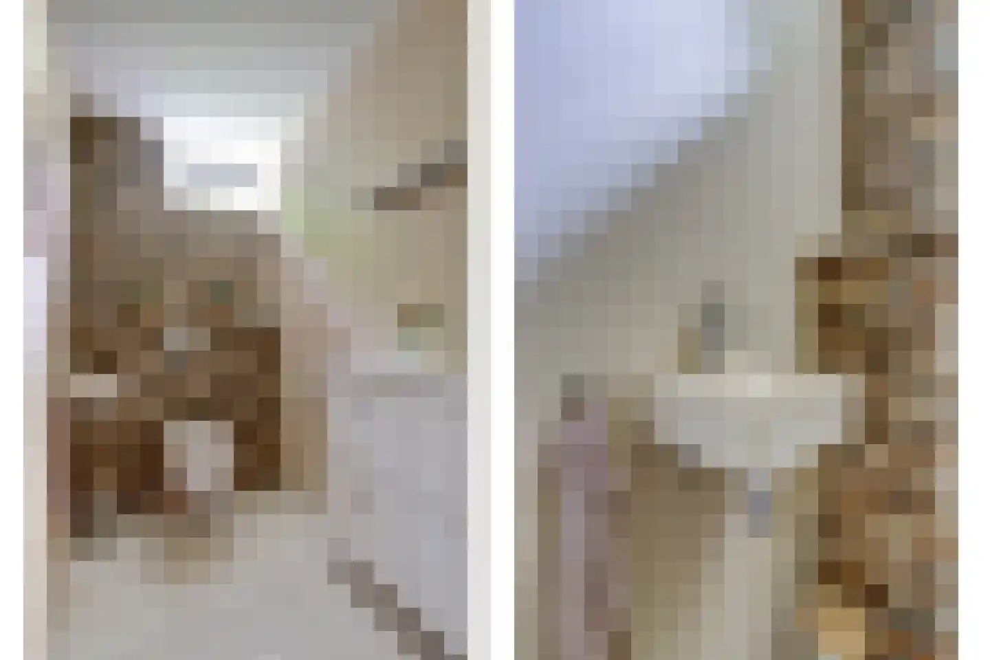 Chloralaan 14 Oostvoorne thumbnail 32